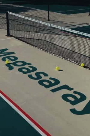 Pickleball net, balls and Megasaray branding on an outdoor court at Megasaray Resort Side.