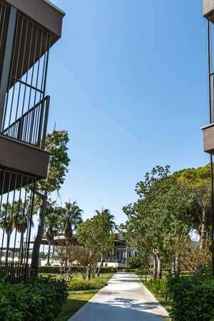 Landscaped walkway between Paloma Orenda’s low-rise garden buildings