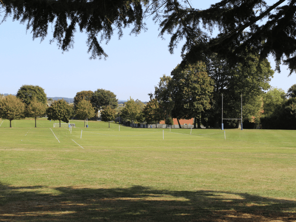 Sunlit green sports field with trees, goalposts and marked lanes under a clear sky.