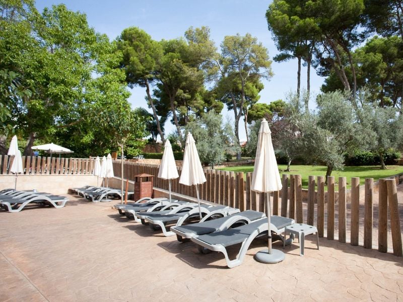 Outdoor lounge area with sun loungers and parasols at a beach club, surrounded by lush greenery and tall trees.