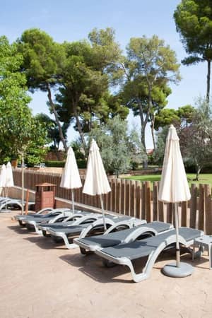 Outdoor lounge area with sun loungers and parasols at a beach club, surrounded by lush greenery and tall trees.
