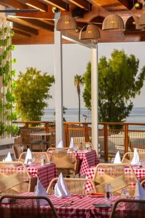 Outdoor seating at a beach restaurant with red and white checkered tablecloths, sea view, and greenery on the wall.
