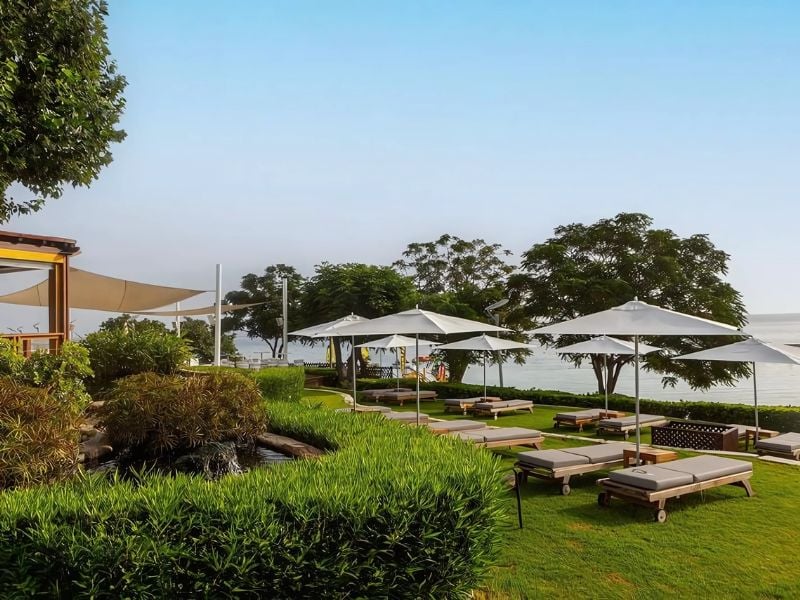 Outdoor restaurant seating at Capo Bay with sun loungers and parasols, set on a green lawn by the sea.