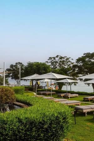 Outdoor restaurant seating at Capo Bay with sun loungers and parasols, set on a green lawn by the sea.