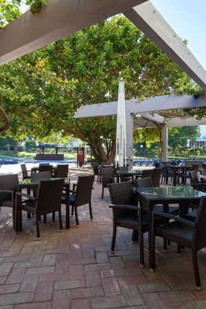 Outdoor dining area at Dom Pedro Gallery with tables and chairs under a pergola covered with greenery, surrounded by garden views.