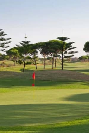 View of a green golf course at Hotel Vincci Costa Golf, featuring a putting green with a red flag, surrounded by lush grass and tall pine trees.