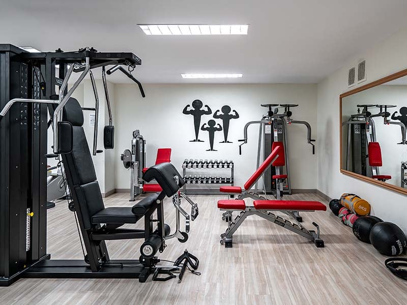 Hotel Vincci Costa Golf gym with weight machines, benches, free weights, and exercise balls.