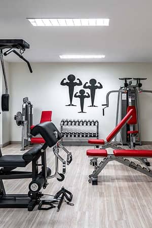 Hotel Vincci Costa Golf gym with weight machines, benches, free weights, and exercise balls.