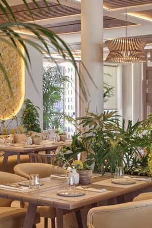 Indoor restaurant at Ikos Odisia resort with elegantly set tables, lush greenery, and modern lighting.