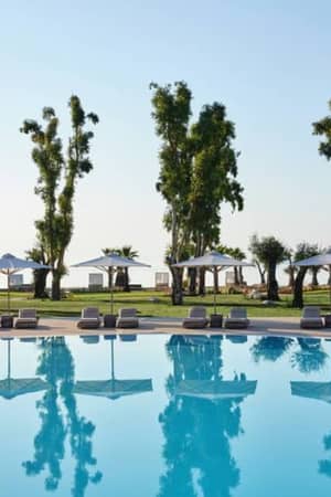 Outdoor pool at Ikos Odisia with surrounding trees, white parasols, and the sea in the background.