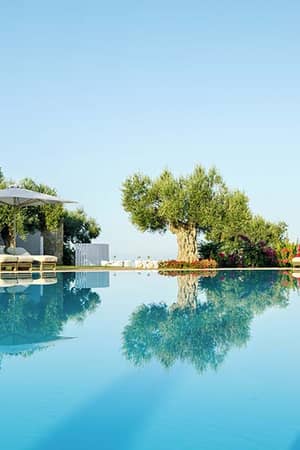 Tranquil swimming pool at Ikos Olivia with sun loungers, parasols, and olive trees reflecting in the blue water.