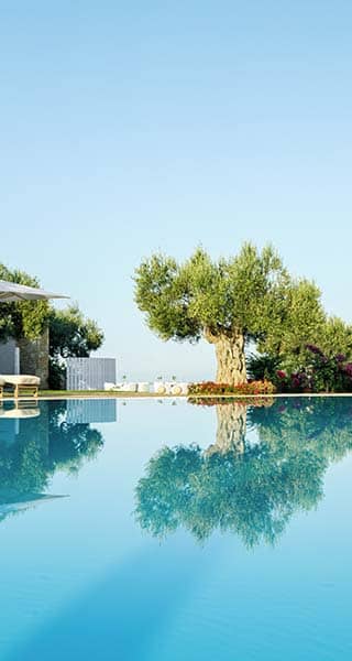 Tranquil swimming pool at Ikos Olivia with sun loungers, parasols, and olive trees reflecting in the blue water.