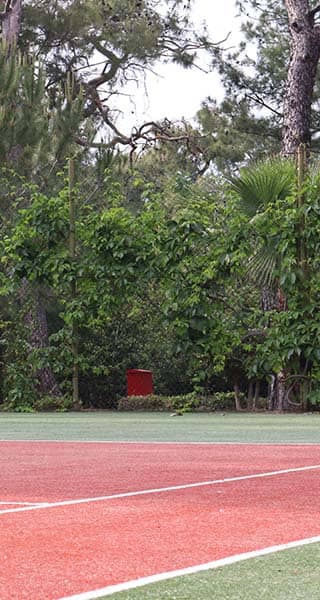 Woman standing ready on a tennis court at Liberty Lykia Tennis Academy, surrounded by trees and greenery.