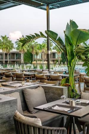 Luxurious outdoor dining area at Paloma Gallery - Restaurant with wooden tables, chairs, greenery, and a view of the pool.