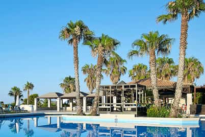 Royal Mare setting with a blue swimming pool, surrounded by palm trees and a wooden structure under a clear sky.