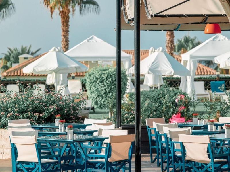Royal Mare Gallery outdoor restaurant with blue tables and chairs, surrounded by greenery and white parasols.