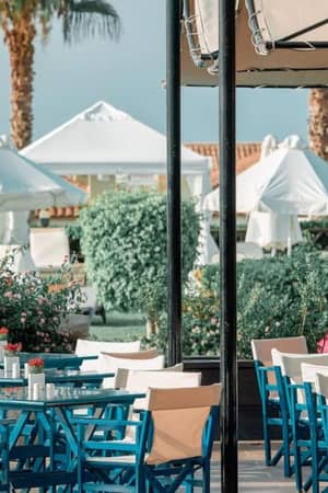 Royal Mare Gallery outdoor restaurant with blue tables and chairs, surrounded by greenery and white parasols.