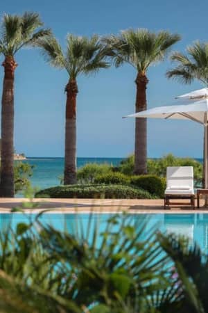 Sani Beach pool lounge with two sun loungers, umbrella, palm trees, a pool, and the sea in the background.
