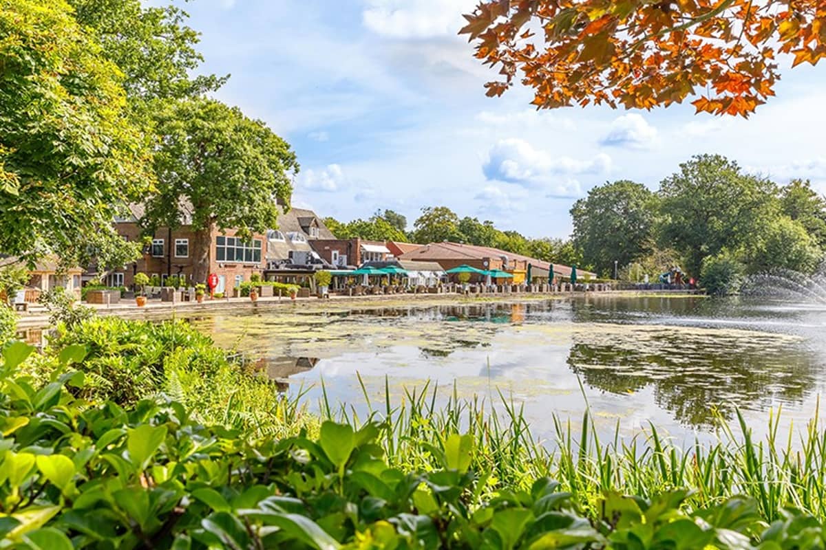 Scenic view of St Georges Hill Gallery with greenery, a pond, and autumn leaves, under a clear blue sky.