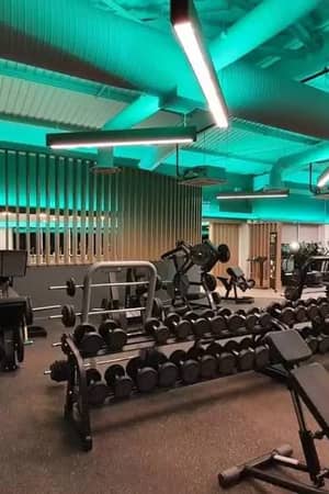 Modern gym at The Lensbury with free weights, benches, and cardio machines under green ambient lighting.