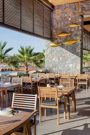 Vogue Gallery restaurant's dining area with wooden furniture, stone walls, golden fish decor, and a view of palm trees and the ocean.