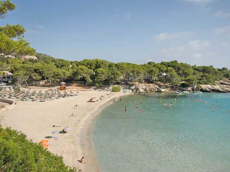 Wide shot of a beach shore with golden sand, turquoise waters, green trees, and people sunbathing and swimming under umbrellas.