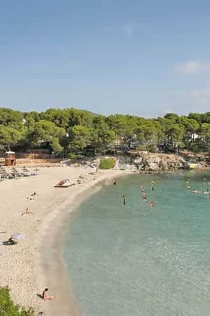 Wide shot of a beach shore with golden sand, turquoise waters, green trees, and people sunbathing and swimming under umbrellas.