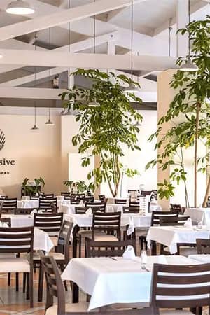Impressive Resorts & Spas dining area with white tablecloths, dark wooden chairs, green plants, and modern lighting.