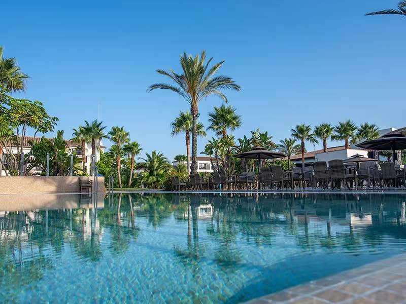 Luxurious hotel pool with palm trees and sun loungers in the lounge area, featuring clear blue water and a sunny sky.