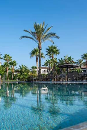 Luxurious hotel pool with palm trees and sun loungers in the lounge area, featuring clear blue water and a sunny sky.