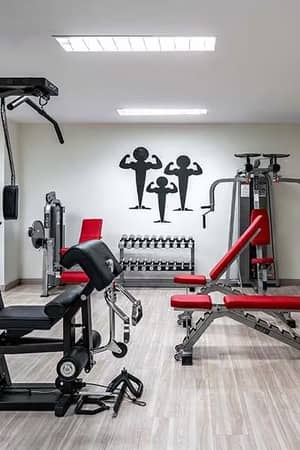 Hotel Vincci's indoor gym area with a multi-use gym machine, red weight bench, dumbbells and kettlebells.