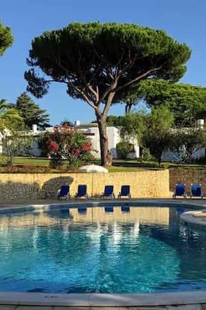Outdoor swimming pool at Prado Vilamoura, surrounded by greenery and pine trees.