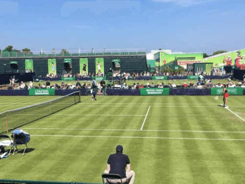 Grass tennis court match with a player serving, umpire and crowd watching on a sunny day.