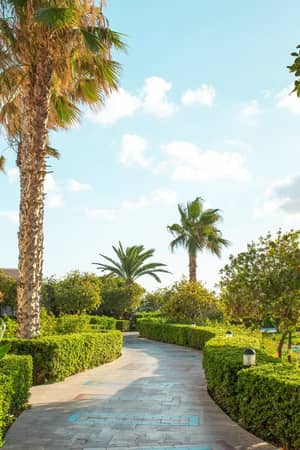 Royal Mare mitsis crete royalmare gardens2