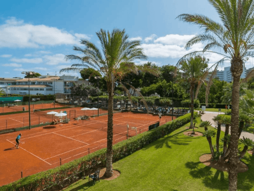 Sunny clay tennis courts at a resort lined with palm trees, with a player practising on court.
