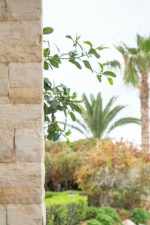 Royal Mare mitsis crete royalmare rest pacifico brunch 2876